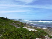 ^񂳂̕Đ{C݂̓eʐ^1