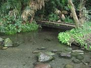 ܂ۂ̓ΒnۑSn̓eʐ^1