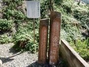 w-masȁ_̃\ec̓eʐ^1