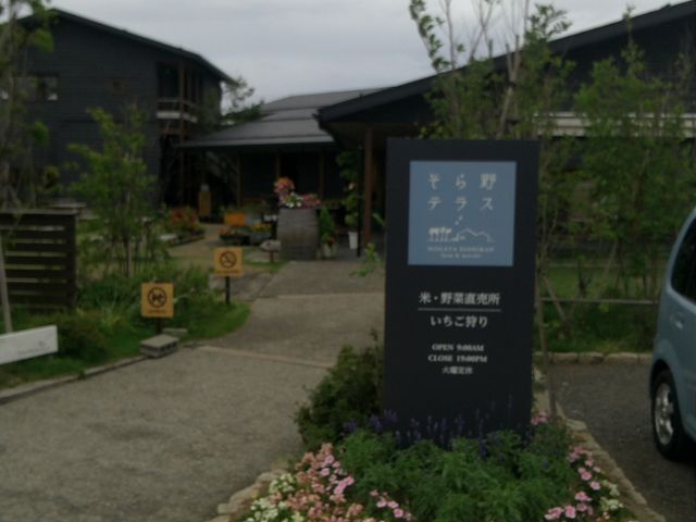 ���ԏꂩ��B�B_�����e���X