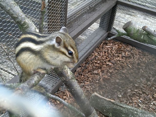 �V�}���X�����o�}���B�B_�����e���X