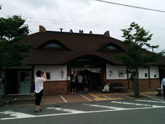 邳̋Muwi܃~[WA jւ̓eʐ^1