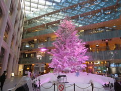 hakoneatamiKITTEۂ̓ւ̓eʐ^1