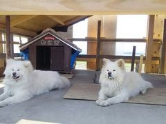 ߂񂳂̂⏤Xւ̓eʐ^1