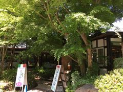 poporon̂߂邱ւ̓eʐ^1