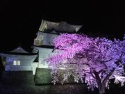 hakoneatamȉc隬̍̓eʐ^3