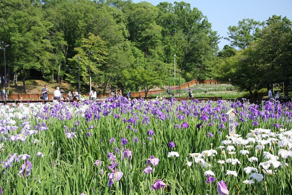 山田池公園の公園 庭園ランキングtop1 じゃらんnet