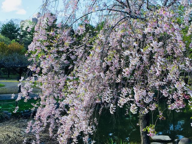 ���������ł�_��������