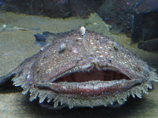 ߂܂AREȂo_݂Ȃ̐فisفj