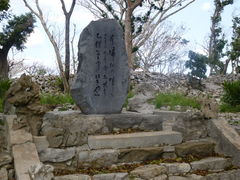 ayukononi̍AmՂւ̓eʐ^1