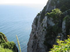 yosshy̋⛠ւ̓eʐ^1