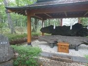 e񂳂̎RzK_Ђ̓eʐ^3