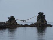 �ς�����̖L��񌩃��Y�̓��e�ʐ^1