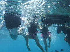 yuka(L)kJCl̉ւ̓eʐ^1