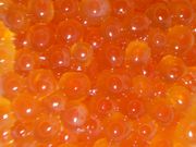 ܂肳̊p㋛ X̓eʐ^2