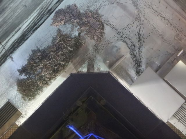 �^��_�����ۂ�e���r��