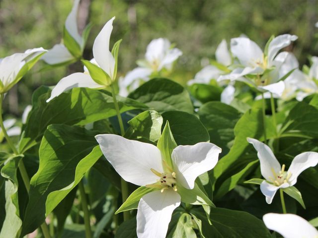 �G�����C�\�E_�k�C����w�A����