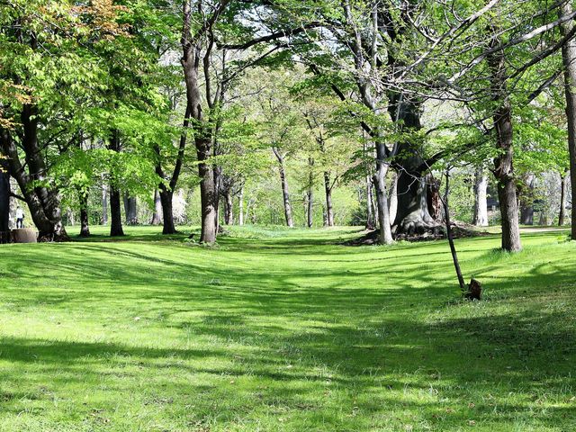 �Ő����Y��_�k�C����w�A����