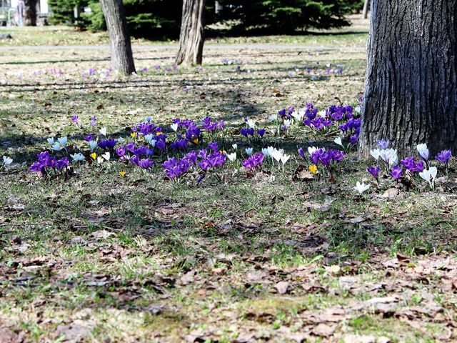 �N���b�J�X_��������