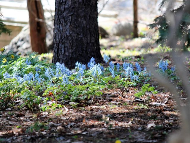 �G�]�G���S�T�N_��������