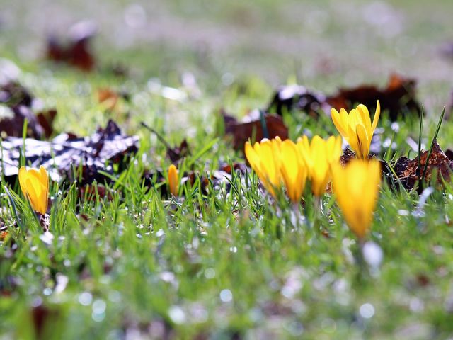 �N���b�J�X_��������