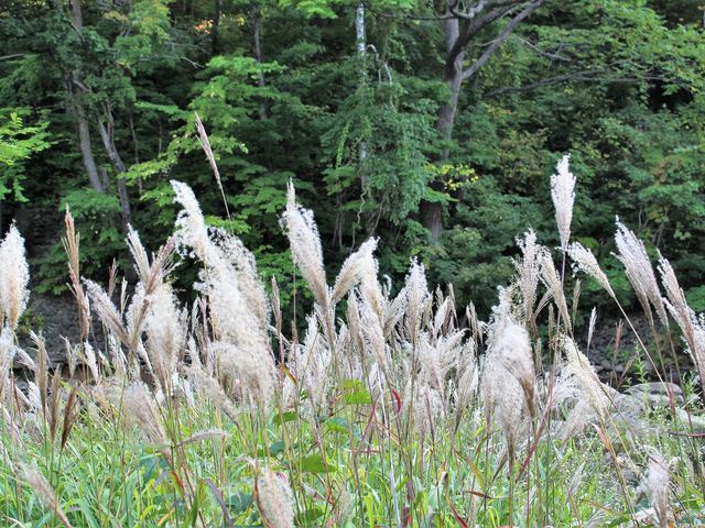 �X�X�L_��R�k