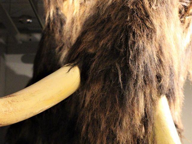 �}�����X_�k�C��������