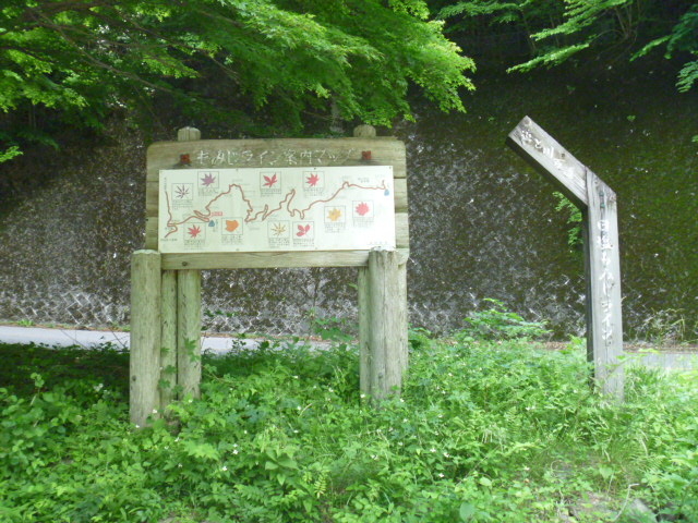 �������݂����C��