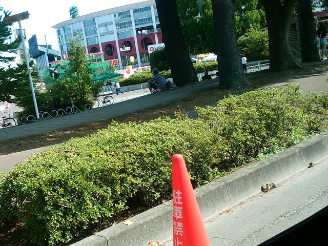 �Ԃ��猩��X�^�W�A��_�y�V�����p�[�N�{��