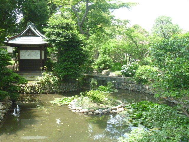 �g�V���[����̘@�ԉ@�̓��e�ʐ^1