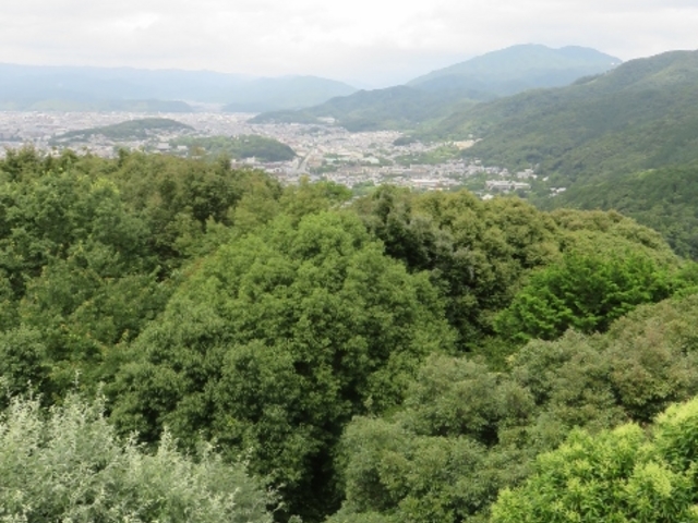 景色_将軍塚青龍殿