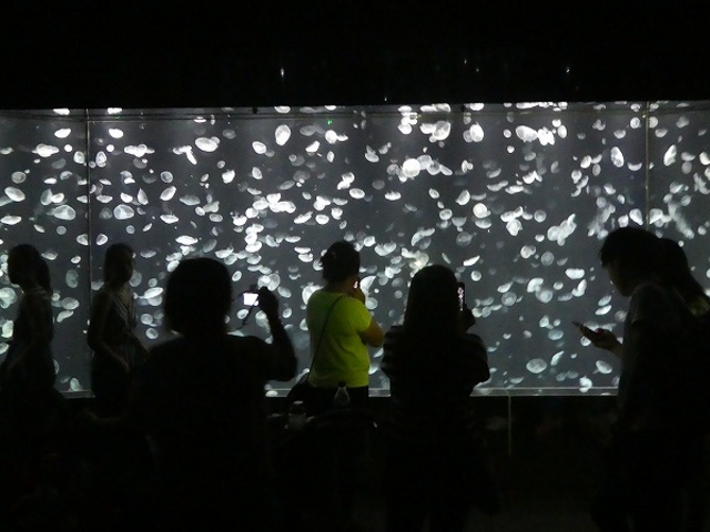 ���s�E�V�ێR�E�C�V�فE�C��_�C�V��