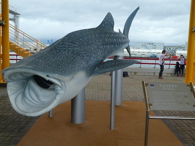 ���s�E�V�ێR�E�C�V�فE�W���x�C�U�����j�������g_�C�V��