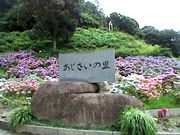 ǂ񂿂񂳂̌`̓eʐ^1