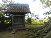 L^J̎R̐_̃PL̓eʐ^1