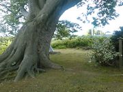 L^J̎R̐_̃PL̓eʐ^2