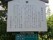 ͂邤炳̖̃CuL̓eʐ^1