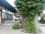 L^J̑@iR`O쒬j̓eʐ^3