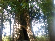 L^J̐R_Ђ̃nj̓eʐ^3