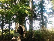 L^J̐R_Ђ̃nj̓eʐ^4