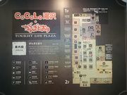 �ꂨ�񂳂�̋����̔��̓��e�ʐ^1