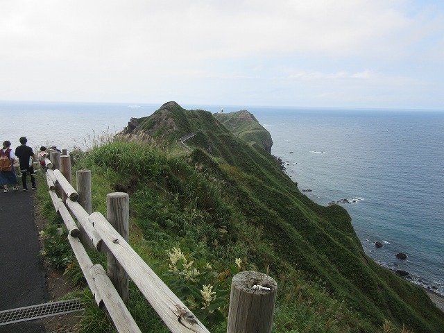 ����_�_�Ж�