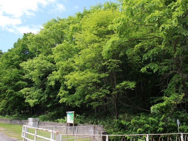 �_�������R��_���R�E�_�����R�x�{��