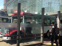 �_����̂i�q����w�ւ̓��e�ʐ^1