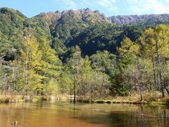 C[XgEbh̓crւ̓eʐ^1