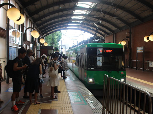 �Q���Ґ��̓d��_���}���c�J���O�������w