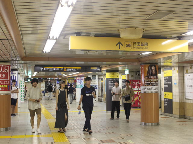 cJ肩wBnŐڑĂ܂B_}cssOw