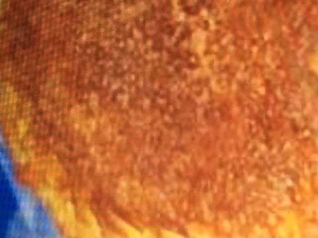 BhtX_VIE DE FRANCEޗǓX