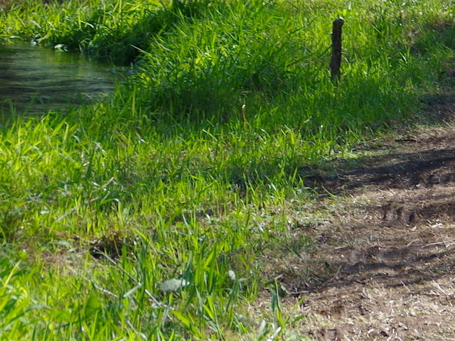 �݁B����̍Ґ��т̓��e�ʐ^1