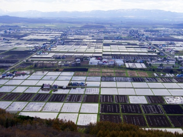 ቺɍLi_쒬LgEVXьƑ